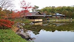 2015-11-231738.JPG