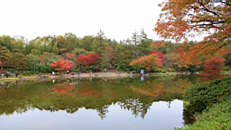 2015-11-231739.JPG