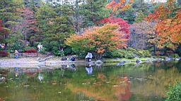 2015-11-231740.JPG