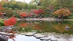 2015-11-231743.JPG