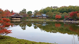 2015-11-231745.JPG