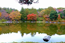 2015-11-231749.JPG
