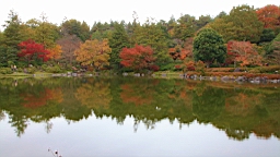 2015-11-231755.JPG