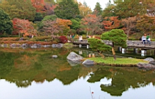 2015-11-231756.JPG