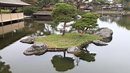 2015-11-231761.JPG