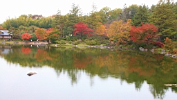 2015-11-231762.JPG