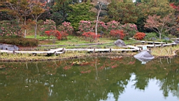 2015-11-231763.JPG