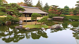 2015-11-231764.JPG