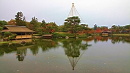 2015-11-231769.JPG