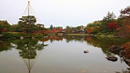 2015-11-231771.JPG