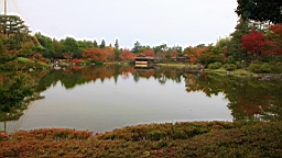 2015-11-231773.JPG