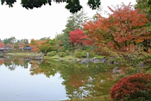 2015-11-231774.JPG