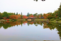 2015-11-231775.JPG
