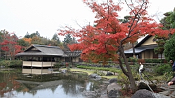 2015-11-231778.JPG