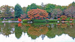 2015-11-231780.JPG
