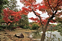2015-11-231783.JPG