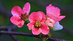2015-11-231799.JPG