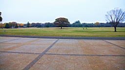 2015-11-231802.JPG