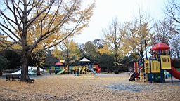 2015-11-231807.JPG