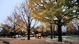 2015-11-231808.JPG