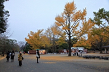 2015-11-231810.JPG