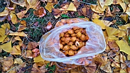 20151123_144734.jpg
