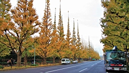 2015-11-241816.JPG