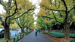 2015-11-241820.JPG