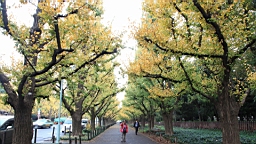2015-11-241821.JPG