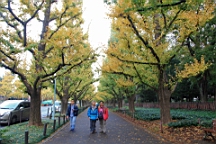2015-11-241822.JPG