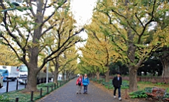 2015-11-241823.JPG