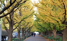 2015-11-241825.JPG