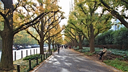 2015-11-241828.JPG