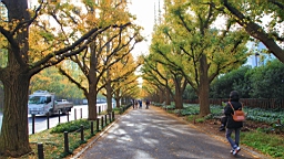 2015-11-241829.JPG