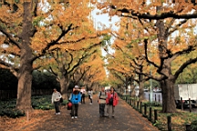 2015-11-241831.JPG