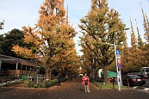 2015-11-241832.JPG