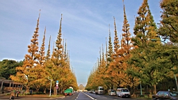 2015-11-241838.JPG