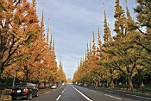 2015-11-241840.JPG