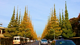 2015-11-241841.JPG