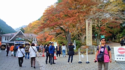 2015-11-241845.JPG