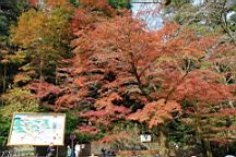 2015-11-241848.JPG