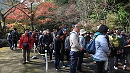 2015-11-241850.JPG