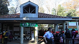 2015-11-241854.JPG