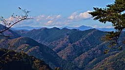 2015-11-241856.JPG