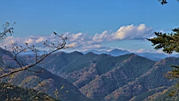 2015-11-241857.JPG