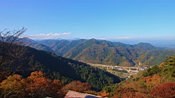 2015-11-241861.JPG