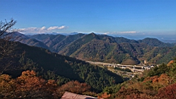 2015-11-241865.JPG