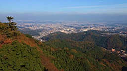 2015-11-241866.JPG