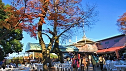 2015-11-241873.JPG