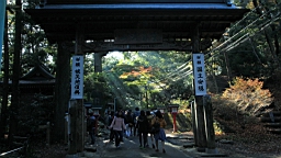 2015-11-241878.JPG